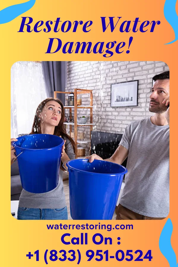 water restoration Ideal Damage Recovery Services West Dennis